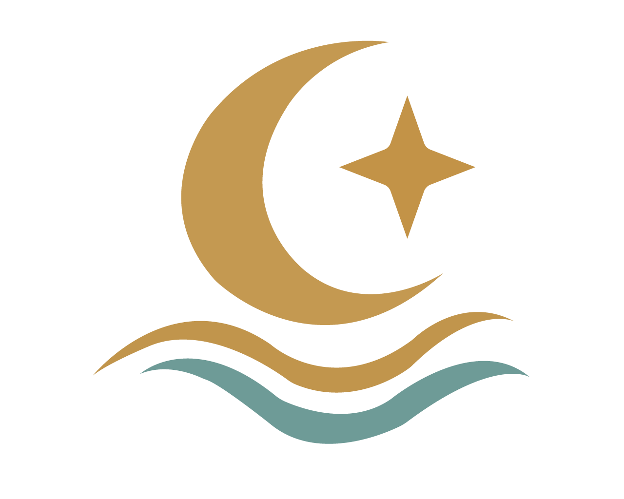Logo de Zulema Shuremi